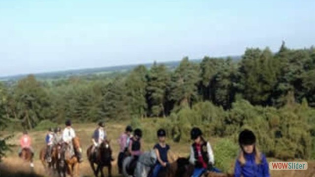 14204_526124677532985_3298140199790671257_n